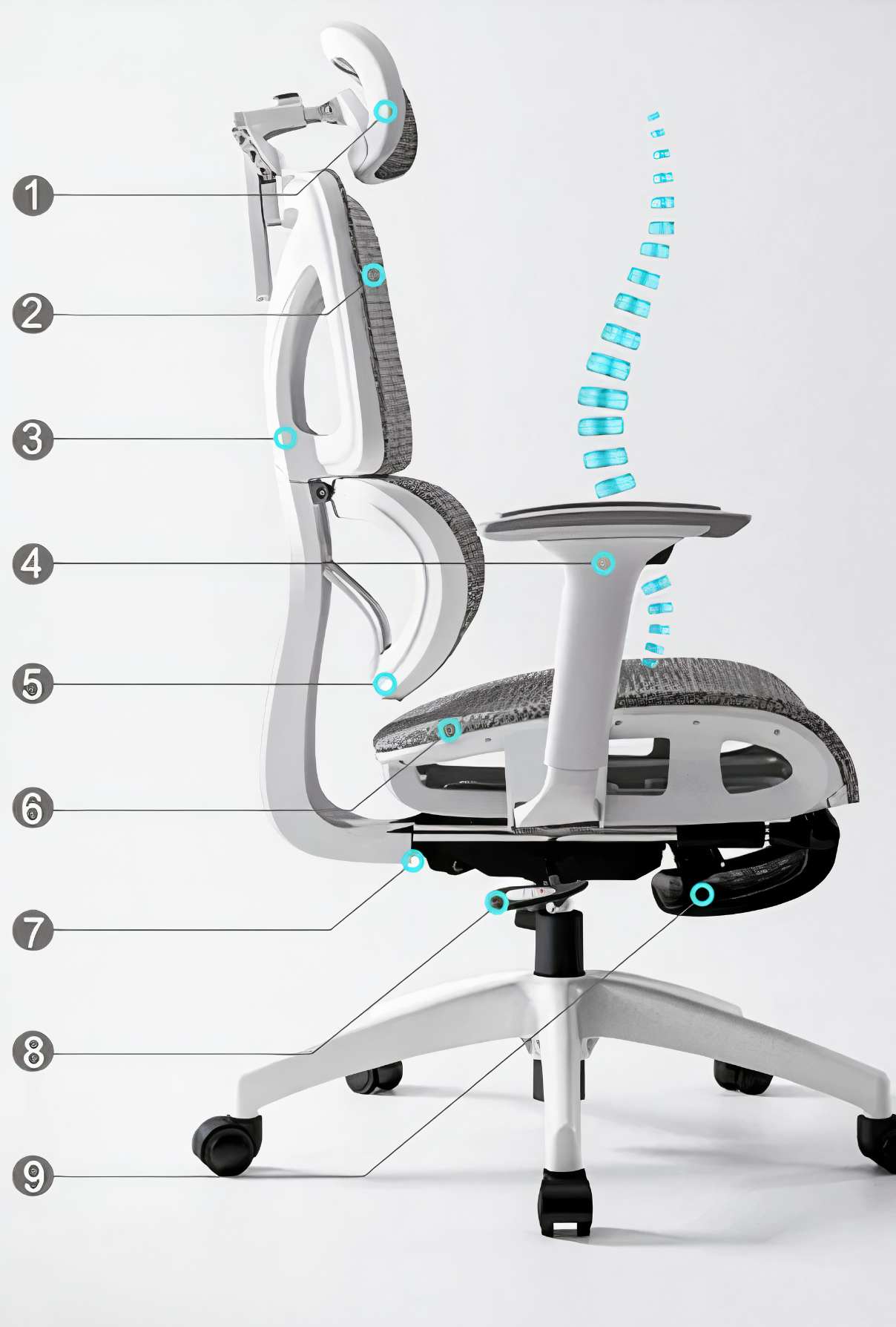 ErgoNet Flex – Chaise de Bureau Ergonomique en Mesh Respirant et Dossier Ajustable