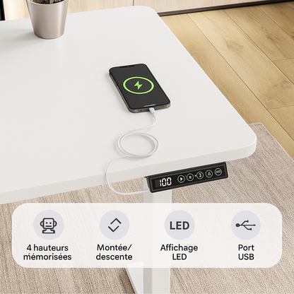 Bureau assis debout électrique - Productivité ErgoFlow Light
